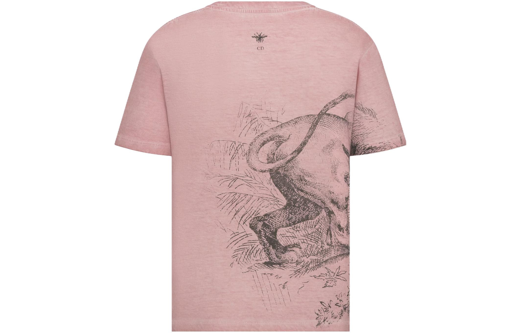 Lookbook (Women) DIOR SS23  Pink Animal Print Pullover T-Shirt. 253T09A4404-X4839