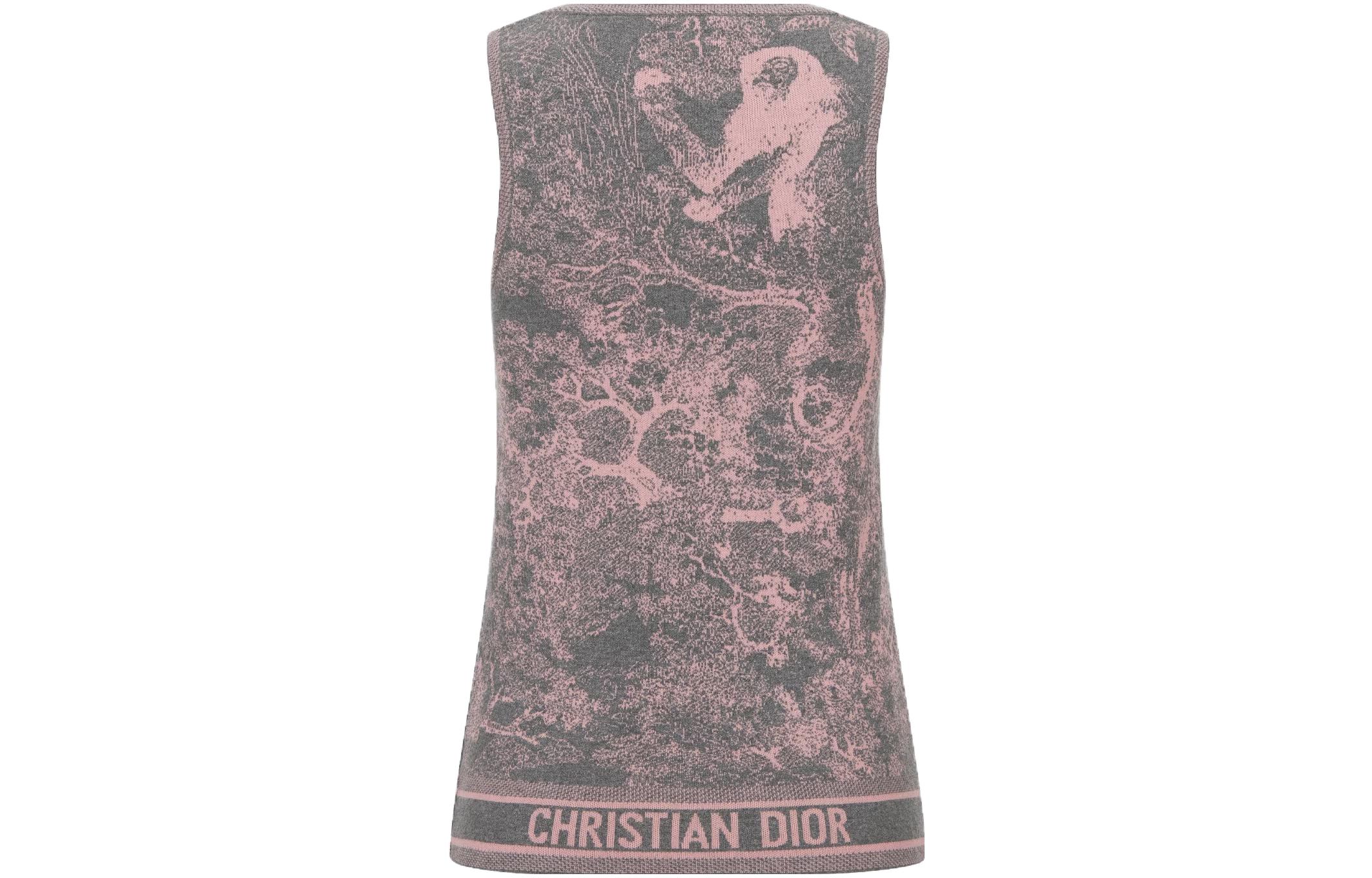 Lookbook (W) Suéter de Punto Gris DIOR SS23 Mujer con Diseño Animal Print Colorblock. 224T46AM104-X8839