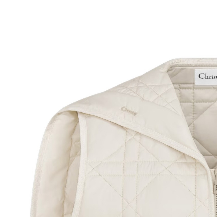 Purchase (W) DIOR SS24 Vest Beige Logo Sulaman Warna Solid dengan Zip. 417C75A2827-X0250