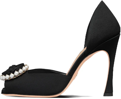 (W) Dior Stiletto 'Kulit Hitam Rose' KDQ926GGN_S55X Buy (W) Dior Stiletto 'Kulit Hitam Rose' KDQ926GGN_S55X
