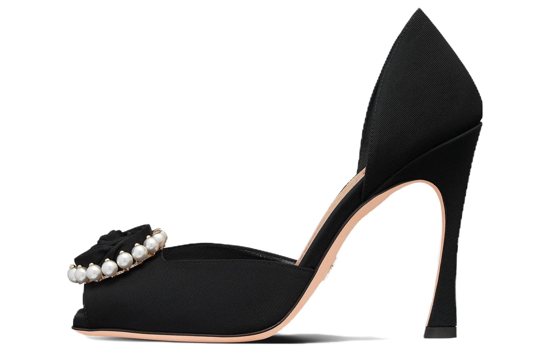 (Women) Dior Stiletto 'Rose Leather Black' KDQ926GGN_S55X