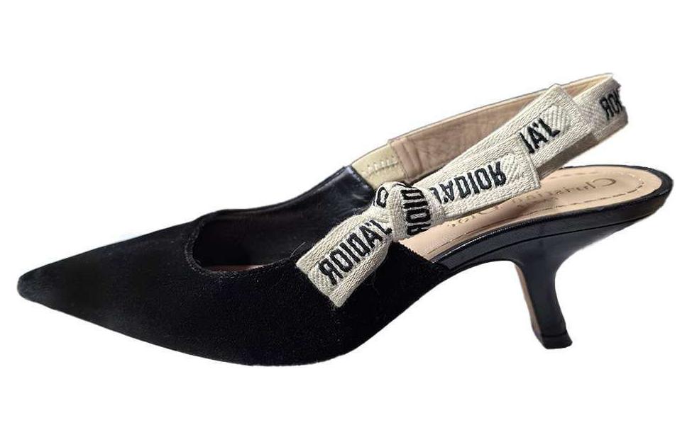 Buy DIOR迪奧 絨面 舒適簡約 細跟 高跟鞋 女款 黑色