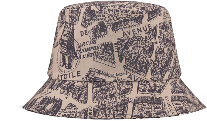 (Women) DIOR Teddy-D Reversible Printed Bucket Hat for Women in Brown. 32CPA923I130-C132 Lookbook (Women) DIOR Teddy-D Reversible Printed Bucket Hat for Women in Brown. 32CPA923I130-C132