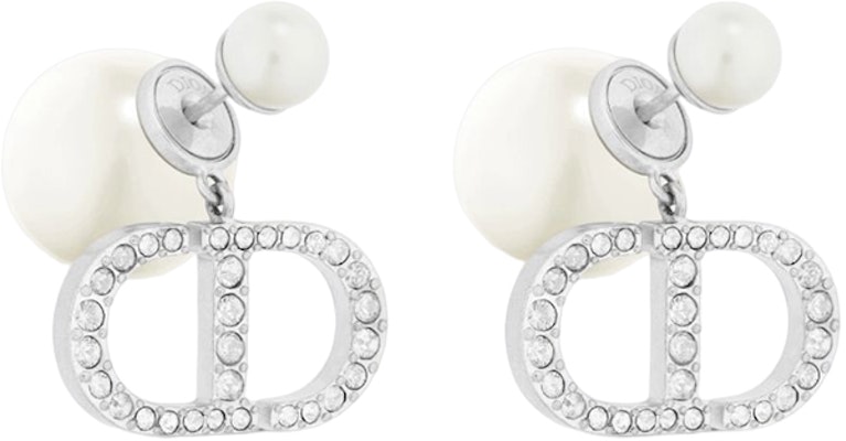 (Women) DIOR Trendy Resin Earrings for Women. E1293TRICY-D13S Order (Women) DIOR Trendy Resin Earrings for Women. E1293TRICY-D13S