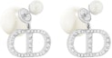 Order (Women) DIOR Trendy Resin Earrings for Women. E1293TRICY-D13S