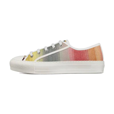 (W) Dior Walk'N'Dior Embroidered Low 'Multi-Color'