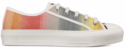 (Women) Dior Walk'N'Dior Embroidered Low 'Multi-Color' KCK211SHL_S89Z (Women) Dior Walk'N'Dior Embroidered Low 'Multi-Color' KCK211SHL_S89Z