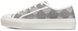 Buy (W) Dior Low Top Walk'n'Dior 'Kelabu' KCK211LOE_S75K
