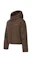 Shop (Women) Discovery Expedition Olia Glow Down Short Puffer Jacket (Brown) DWDJ94056-LWS