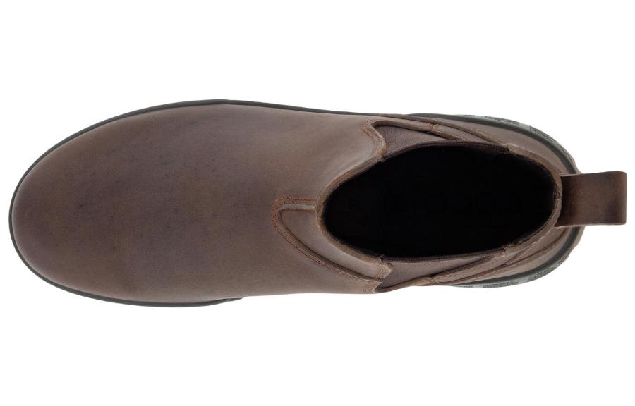 Shop (W) ECCO Sepatu Boot Kulit Chelsea 'Cocoa Brown' 83187302482