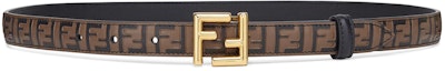 Order (Women) FENDI Belt Calfskin Leather Brown 2cm Wide 8C0648-AQ1J-F1N1Y