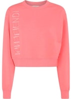 (Women) FENDI Pink Logo Print Crewneck Long Sleeve Sweatshirt. FS7427ANQRF1K9Y (Women) FENDI Pink Logo Print Crewneck Long Sleeve Sweatshirt. FS7427ANQRF1K9Y