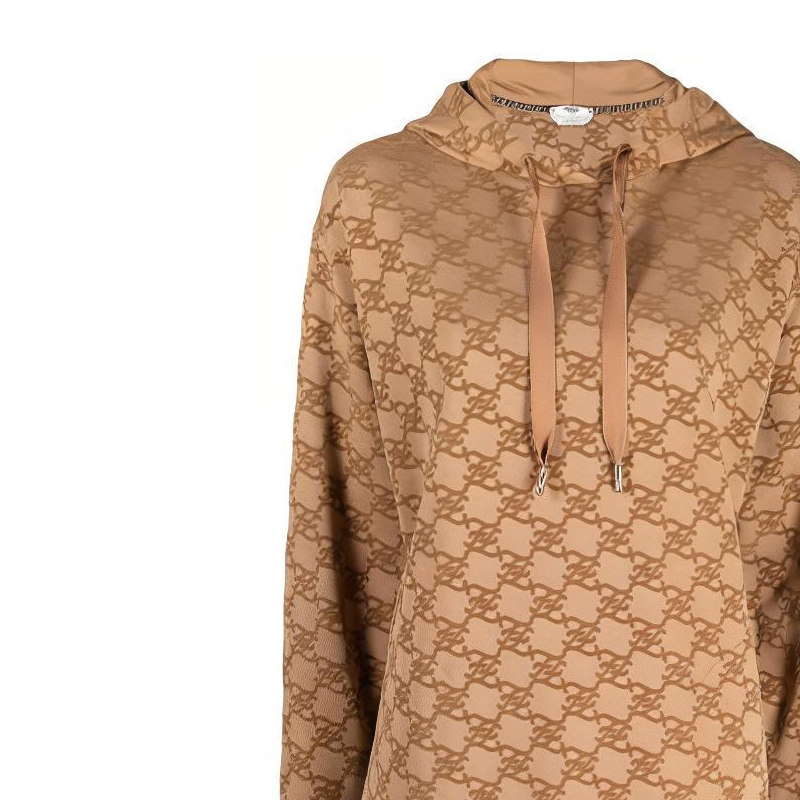(Women) FENDI Brown Logo Print Oversized Hoodie Long Sleeve Sweatshirt. FS7263AGU7F1ENR 圖 6