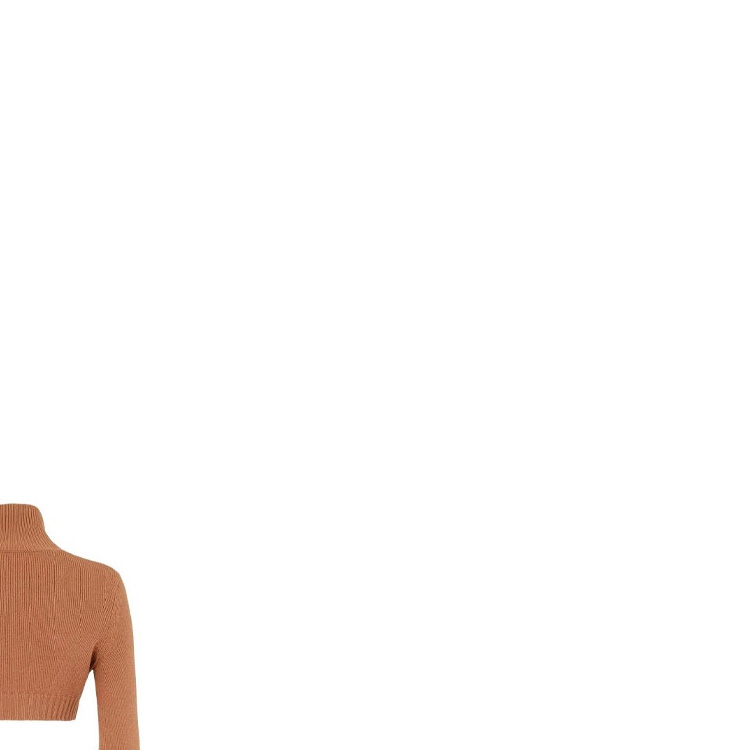 Purchase (W) FENDI FW21 棕色logo高领羊绒毛衣. FZX699AHE6F1ENR