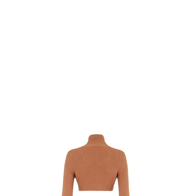 Details for (W) FENDI FW21 棕色logo高领羊绒毛衣. FZX699AHE6F1ENR