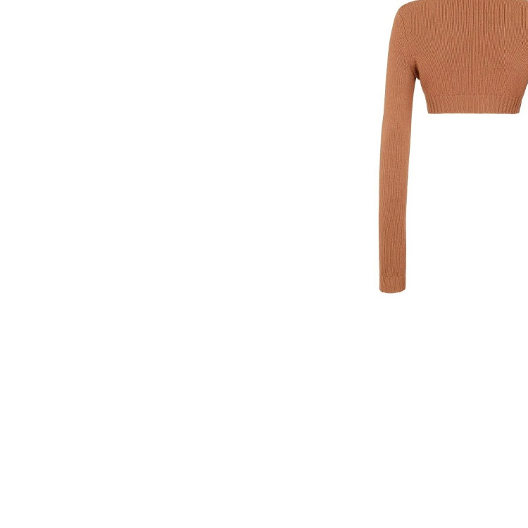 Sizing (W) FENDI FW21 棕色logo高领羊绒毛衣. FZX699AHE6F1ENR