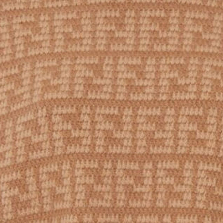 Purchase (W) FENDI 2023秋冬全印花高领长袖毛衣 FZXA79AQYNF0QB8