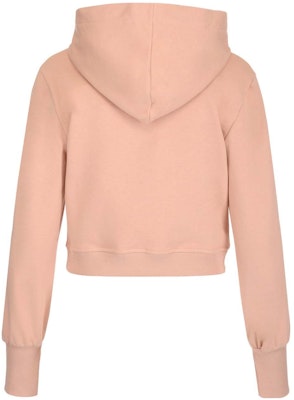 (Women) FENDI SS22 Pink Letter Print Pullover Sweatshirt. FS7516AJXFF11AS Lookbook (Women) FENDI SS22 Pink Letter Print Pullover Sweatshirt. FS7516AJXFF11AS