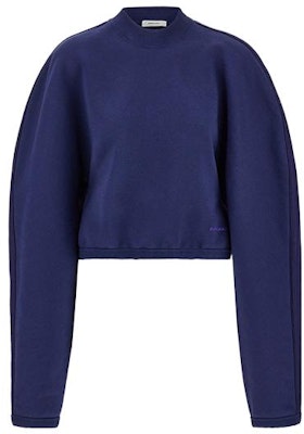 (W) FERRAGAMO FW23 蓝色圆领休闲卫衣毛衣 767021 Order (W) FERRAGAMO FW23 蓝色圆领休闲卫衣毛衣 767021