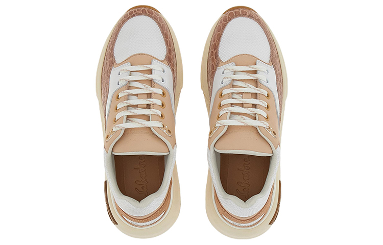Lookbook (W) FERRAGAMO Salvatore Baskets Basses à Lacets ''Marron Blanc'' 030349-757649