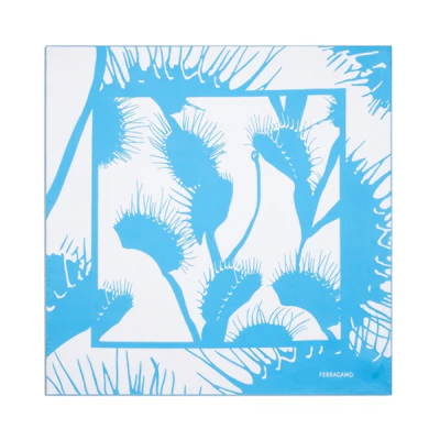 (Women) FERRAGAMO Venus Print Silk Scarf Women’s - Blue/White 310169773418
