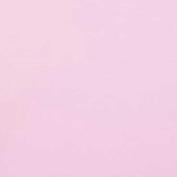 Sizing (W) ギヴァンシー×ディズニー ピンク ハート刺繍Tシャツ SS23 BW70AS3YBA-681