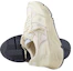 Purchase (Women) Golden Goose Running Sole 'Beige' GWF00215.F004163.15431