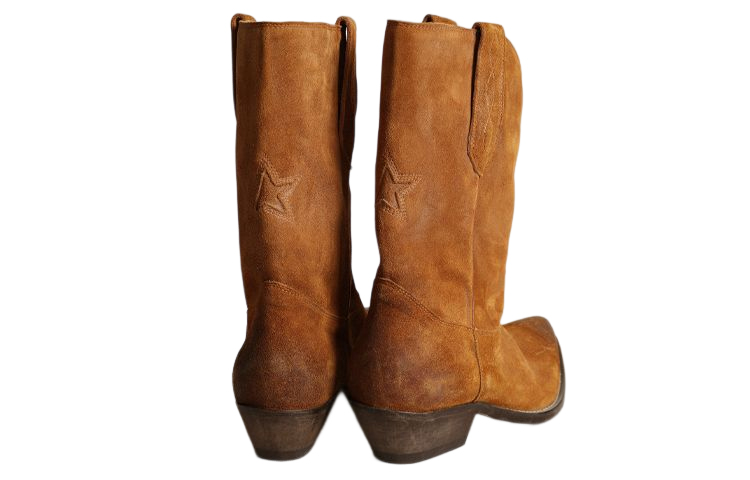 Lookbook (W) Golden Goose Wish Star Low 'Tabaco' GWF00136.F003472.55350