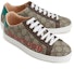 Shop (W) Zapatillas Casuales Gucci Ace Series Marrón para Skate. 623235-2BL10-8660