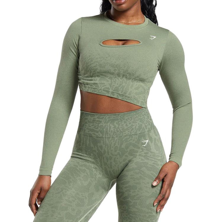 (Women) GYMSHARK Adapt Safari Seamless Faded Long Sleeve Top Women - Soft Green/Faded Green B8A2X-ECQJ