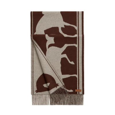(Women) HERMES Cashmere Scarf Multicolor with Designer Pattern 108300399