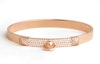 Buy (W) HERMES Gelang Collier de Chien Wanita Emas 18K dengan Berlian. H110018B-00