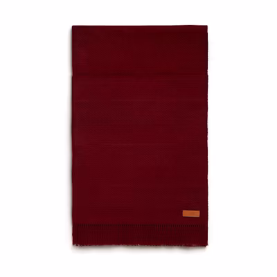 (Women) HERMES Rayee H Jacquard Knit Striped Scarf Burgundy for Women. H269127S-03