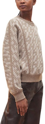 (W) 에르메스 SS23 린넨 베이지 솔리드 컬러 크루넥 긴팔 스웻셔츠 H3E2608D55K Purchase (W) 에르메스 SS23 린넨 베이지 솔리드 컬러 크루넥 긴팔 스웻셔츠 H3E2608D55K