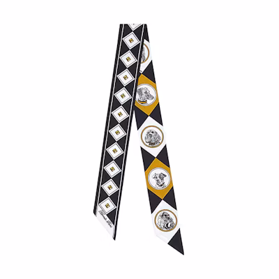 (Women) Hermes Twilly Scarf for Women - Dog Collar & Fashion Accessory H063453S-24