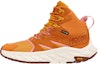 Buy (W) HOKA Anacapa Mid GORE-TEX 'Sunpadang Kuning Emas' 1119372-DSGYL