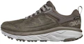 Buy (W) HOKA ONE ONE Challenger Low Gore-Tex 宽版 "棕色" 1106520-MBHT