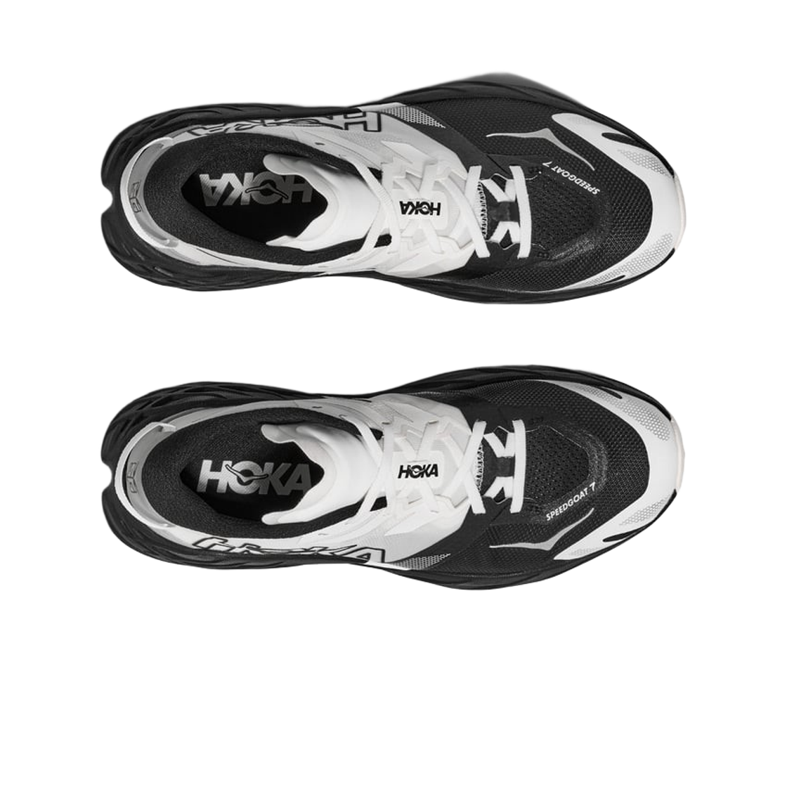 Order (Women) HOKA One One Speedgoat 7 Black White 1171929-BWHT
