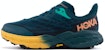 (W) HOKA Speedgoat 5 GORE-TEX 'Teal Gelap' 1127913-DTBC