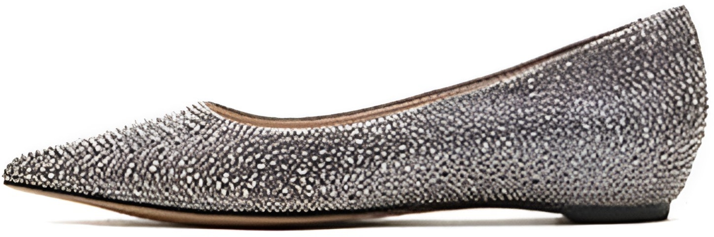 women-joypeace-pointed-fairy-flat-10207-cq-2