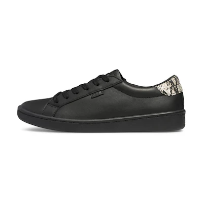 (W) Keds Ace Snake 'Black'