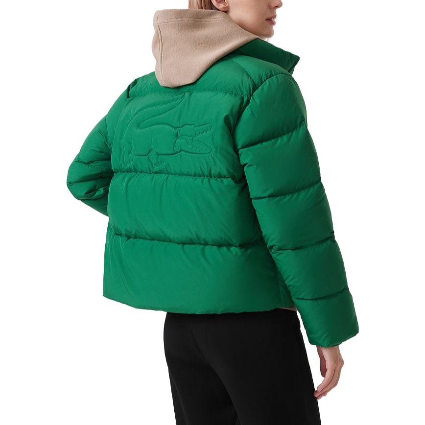 Purchase (W) LACOSTE 纯色立领羽绒夹克 - 深绿色 BF5830-CNQ