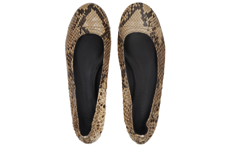 (W) Lanvin Ballet Flat 'Elegant Fashion Brown' 圖 5