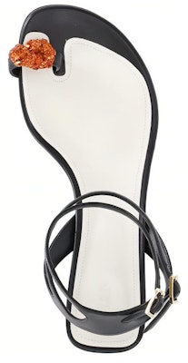 (Women) Lanvin Calfskin Buckle Stiletto 'Fashion Slide Black' FW-SASS0C-RIVE-E2310 Purchase (Women) Lanvin Calfskin Buckle Stiletto 'Fashion Slide Black' FW-SASS0C-RIVE-E2310