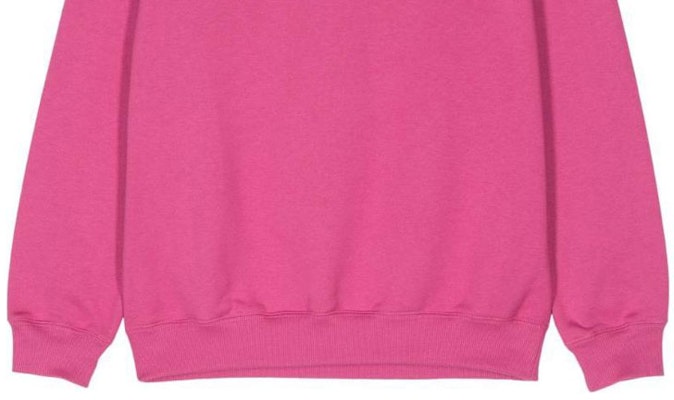(W) Lanvin SS24 Sudadera Rosa de Mujer Manga Larga Cuello Redondo Color Sólido RW-SS0006-J134 Purchase (W) Lanvin SS24 Sudadera Rosa de Mujer Manga Larga Cuello Redondo Color Sólido RW-SS0006-J134