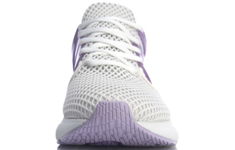 Shop (W) Li-Ning Crazy Run X ''Viola Mediterraneo'' ARHQ056-1
