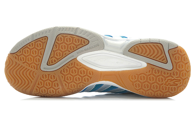 Purchase (W) Li-Ning Kason ''Blau Silber Schwarz'' FYTK004-2