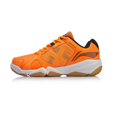 (W) Li-Ning Acc 19v1