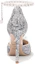 Purchase (Women) Lily Wei Stiletto Pumps 'Jade Porcelain Black Pearl' NN-537