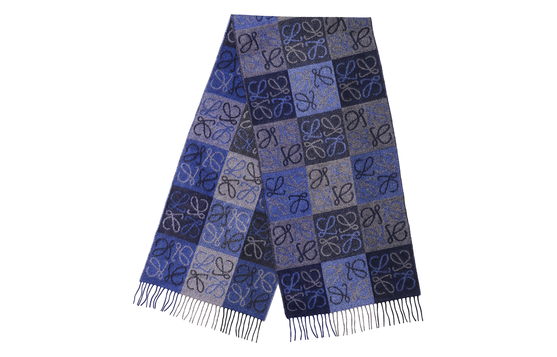 Lookbook (Women) LOEWE  Blue Knit Fringe Scarf F810487X175100